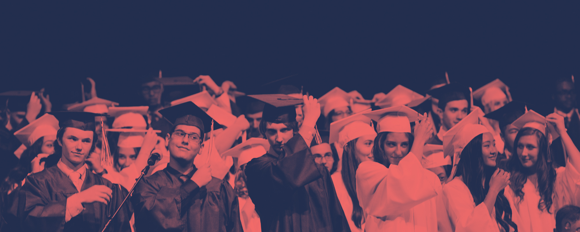 laurea